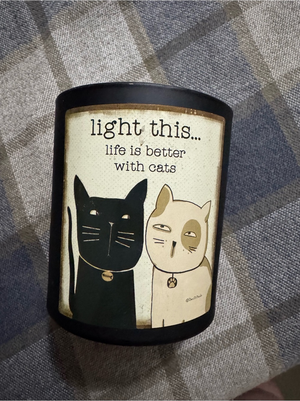 Sea Salt & Sage Candle 1-Wick Primitives by Kathy Life Is Better With Cats